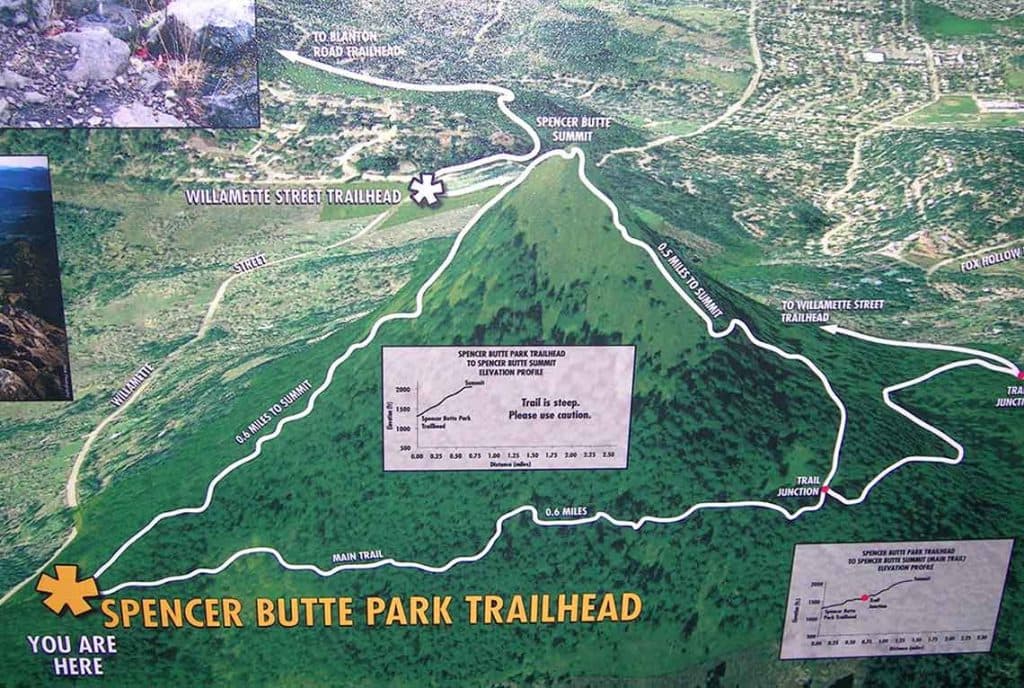 Top Short Hikes and Nature Outings in Lane County, Accessible Options