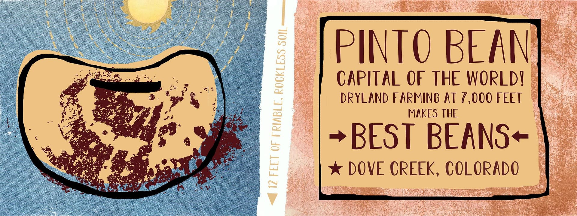 Dove Creek Strengthens Role as Pinto Bean Hub and Gateway