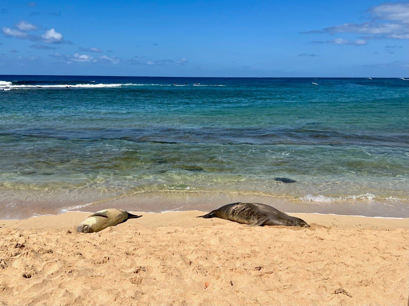 Kaua‘i Family Beach Guide, Five Safer Spots for Keiki