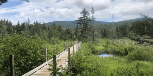 Mount Sunapee State Park, Local Recreation and Public Health Concerns