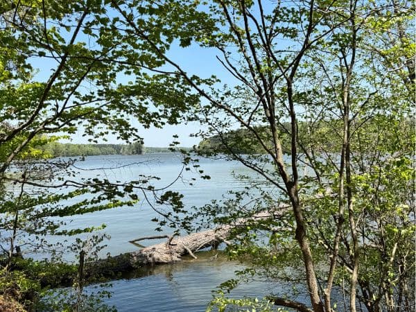 How to Use Guilford County Parks Safely Year Round, and Why It Matters