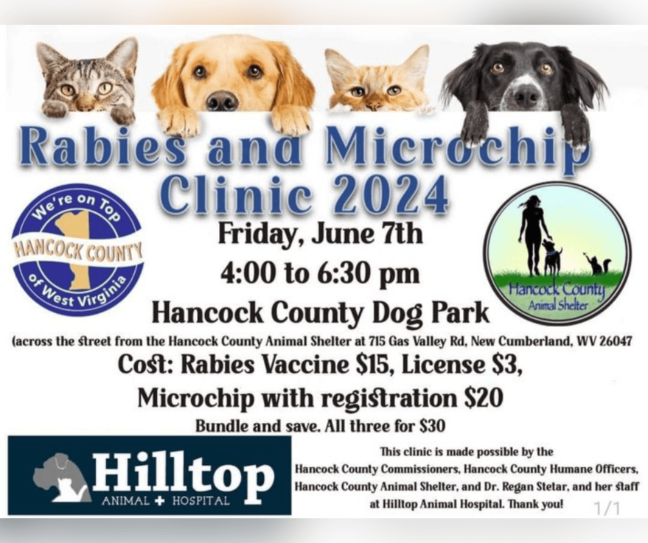 Low Cost Pet Clinic Strengthens Public Health and Community Safety