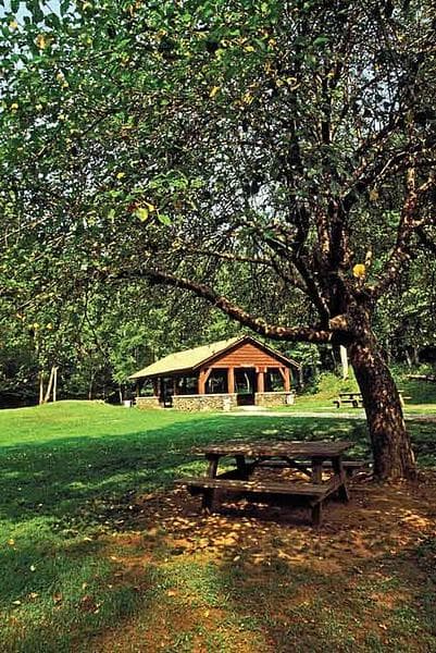 Panther State Forest Provides Vital Recreation and Access in McDowell